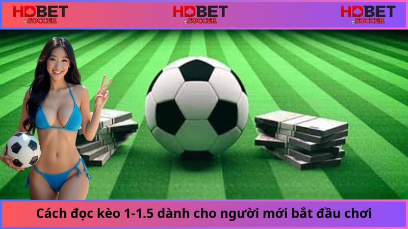 Cách đọc kèo một trái một trái rưỡi dành cho người mới bắt đầu chơi
