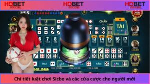 Chi-tiet-luat-choi-Sicbo-va-cac-cua-cuoc-cho-nguoi-moi