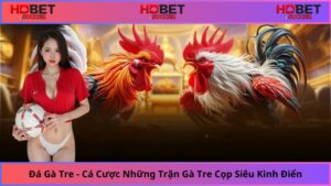 Trải nghiệm thú vị bên kèo cá cược chất lượng với đá gà