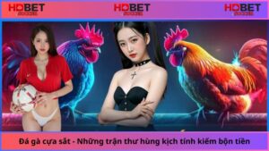 Da-ga-Hdbet-San-pham-giai-tri-ca-cuoc-day-kich-thich (1)