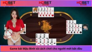 Game-bai-Mau-Binh-va-cach-choi-cho-nguoi-moi-bat-dau