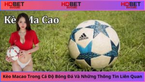 Kèo tài xỉu Macao với quy tắc cực dễ dù bạn là tân thủ