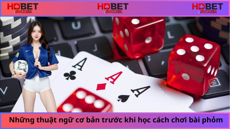 Những thuật ngữ cơ bản cần nắm trước khi học cách chơi bài phỏm